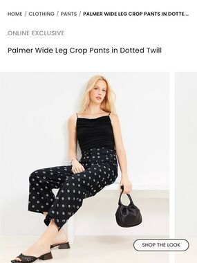 NWT Wide Leg Crop Pants in Black Dotted Twill